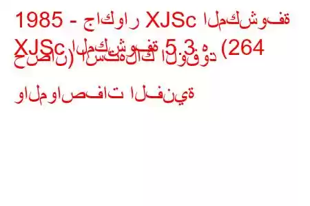 1985 - جاكوار XJSc المكشوفة
XJSc المكشوفة 5.3 ه. (264 حصان) استهلاك الوقود والمواصفات الفنية