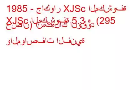 1985 - جاكوار XJSc المكشوفة
XJSc المكشوفة 5.3 ه. (295 حصان) استهلاك الوقود والمواصفات الفنية